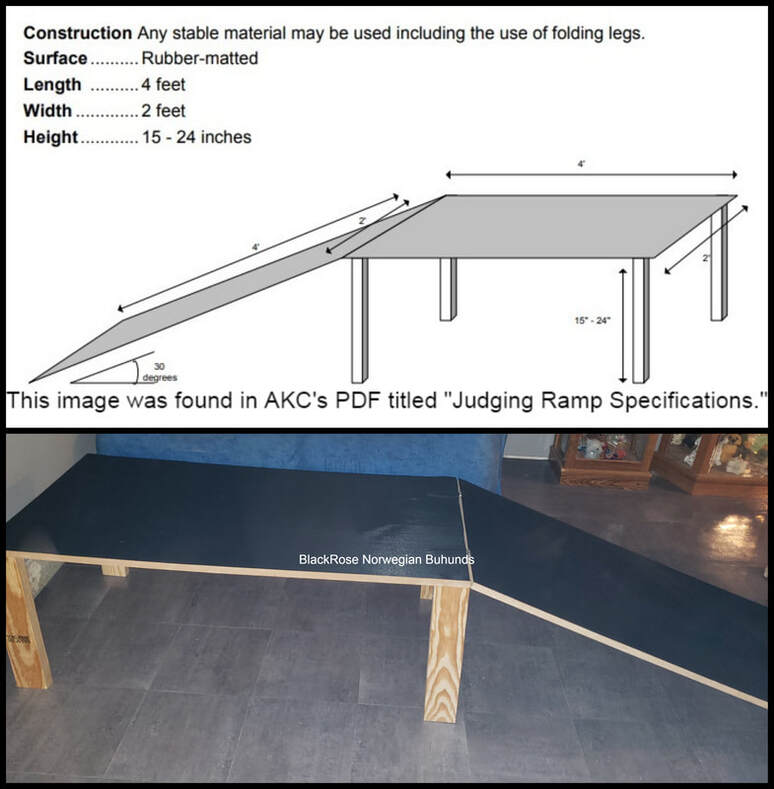 AKC Judging Ramp Build
